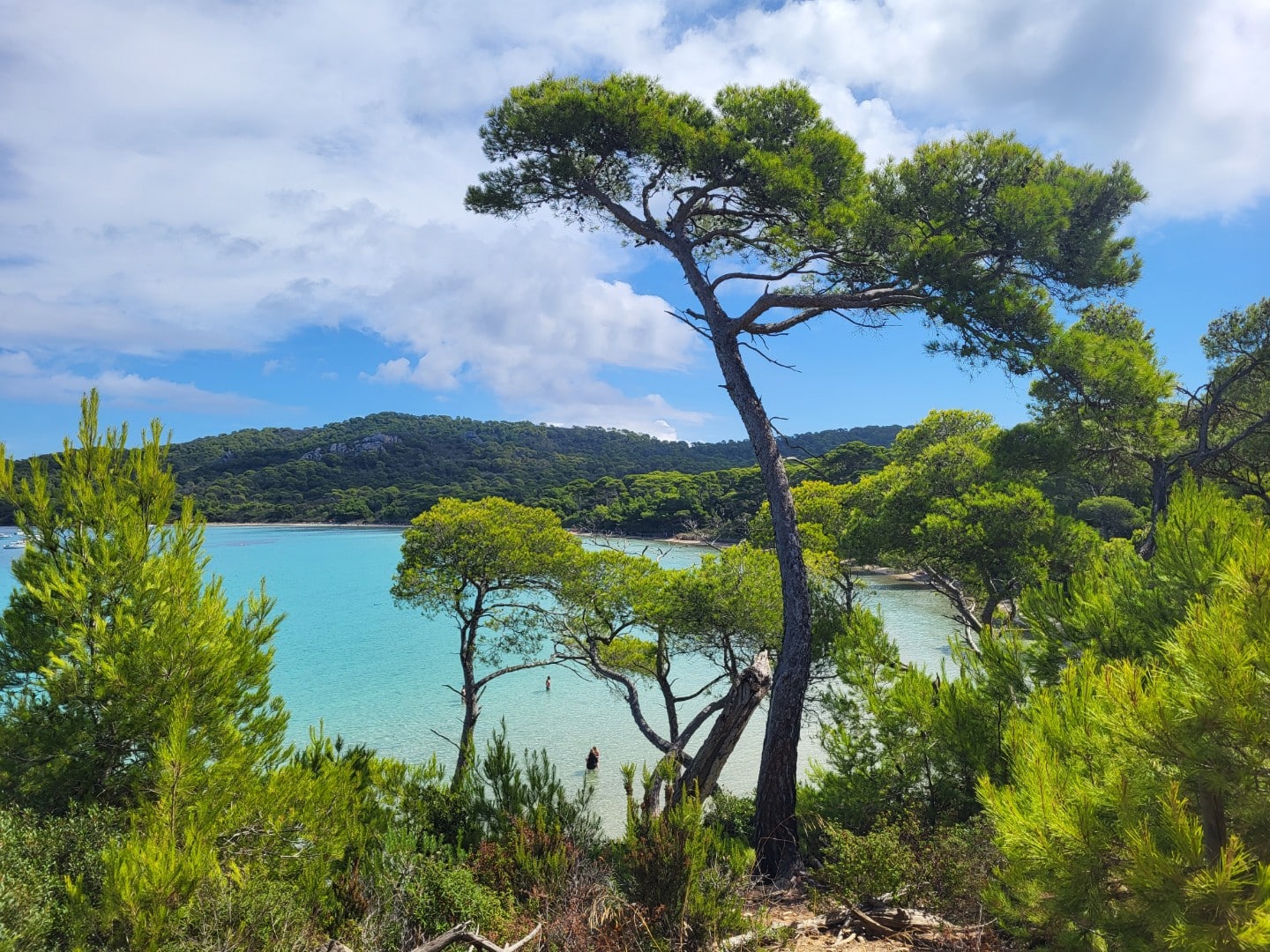 Alize location de voilier-gestion-location bateaux -vente bateau Saint-Mandrier-Sur-Mer 83