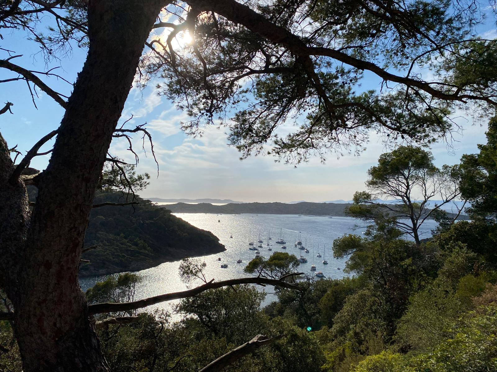 Alize location de voilier-gestion-location bateaux -vente bateau Saint-Mandrier-Sur-Mer 83